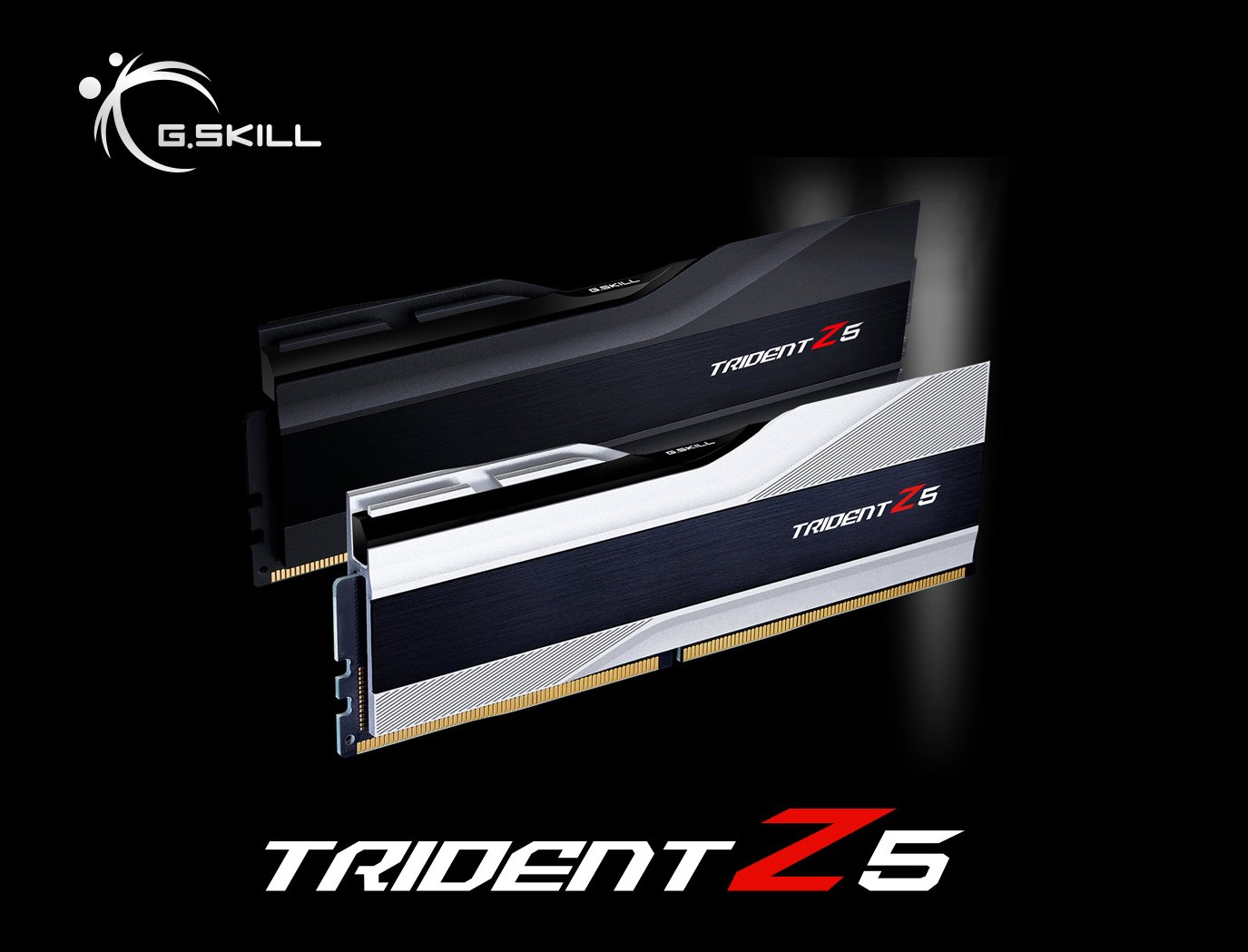 G.SKILL Trident Z5 Series 64GB (2 x 32GB) 288-Pin PC RAM DDR5 6000